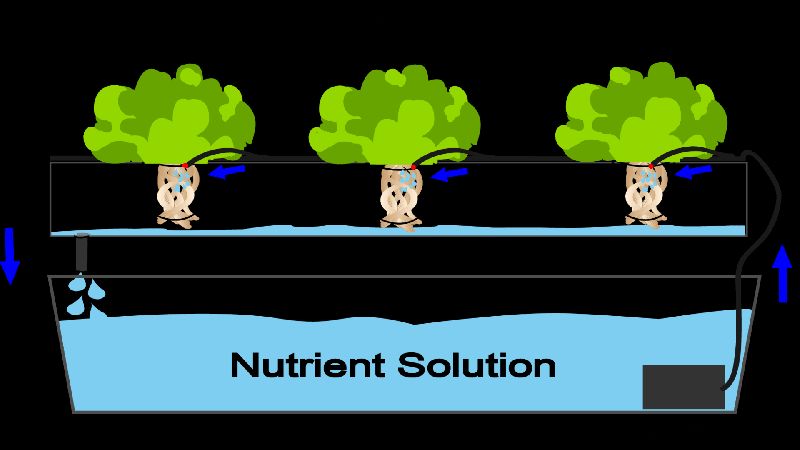 Hydroponic System